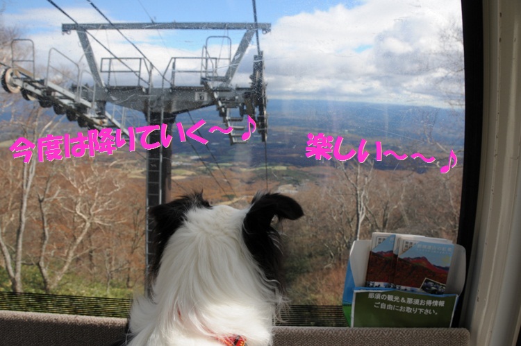 c0147241_2144650.jpg