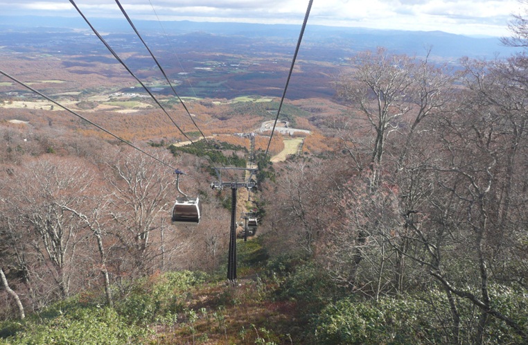 c0147241_214515.jpg