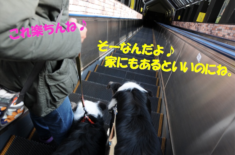 c0147241_2151710.jpg
