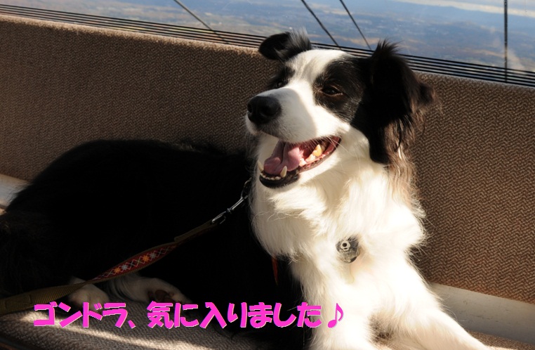 c0147241_215460.jpg