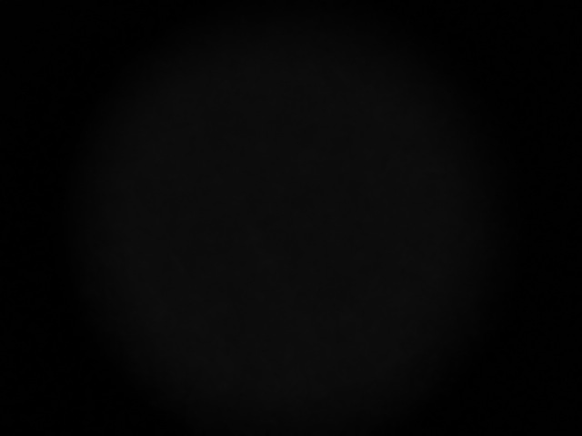 b0167343_16352928.jpg