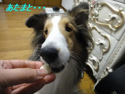 バナナの頭と尻尾_e0195743_13522834.jpg