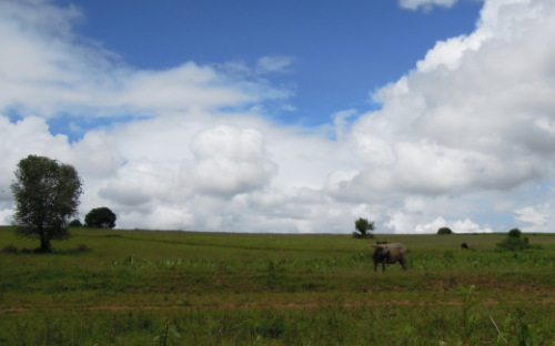 f0055745_1444753.jpg