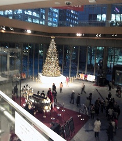 f0087347_1428243.jpg