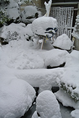 f0231147_21205976.jpg