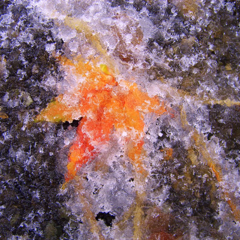 b0147449_18501919.jpg