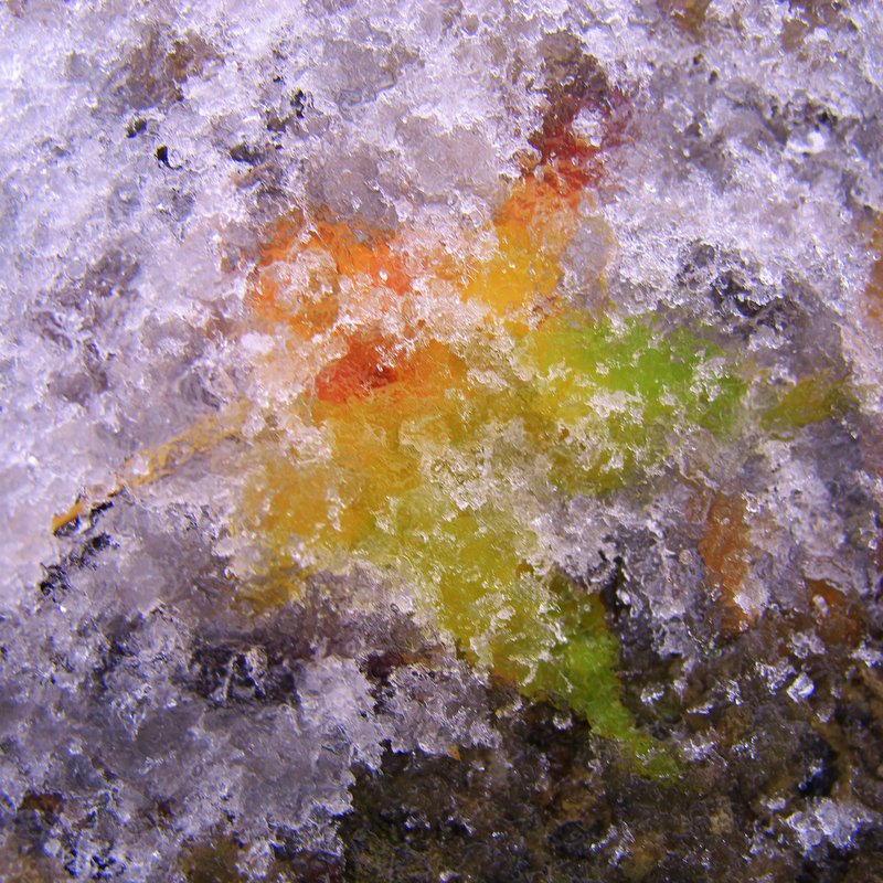 b0147449_18503713.jpg