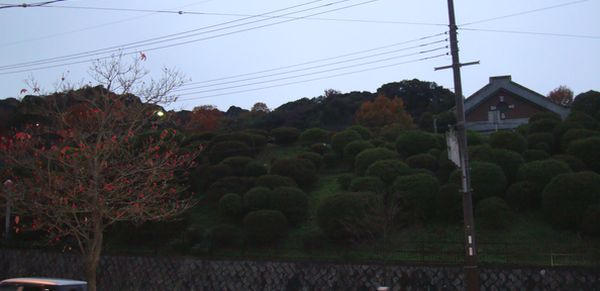 南禅寺で湯豆腐を食べました_e0083155_12262622.jpg