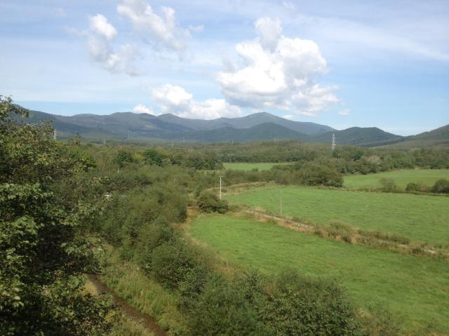 c0105957_22211128.jpg