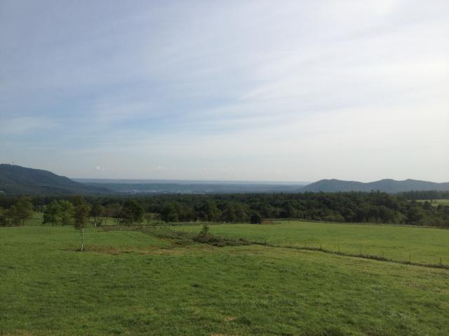 c0105957_2222574.jpg