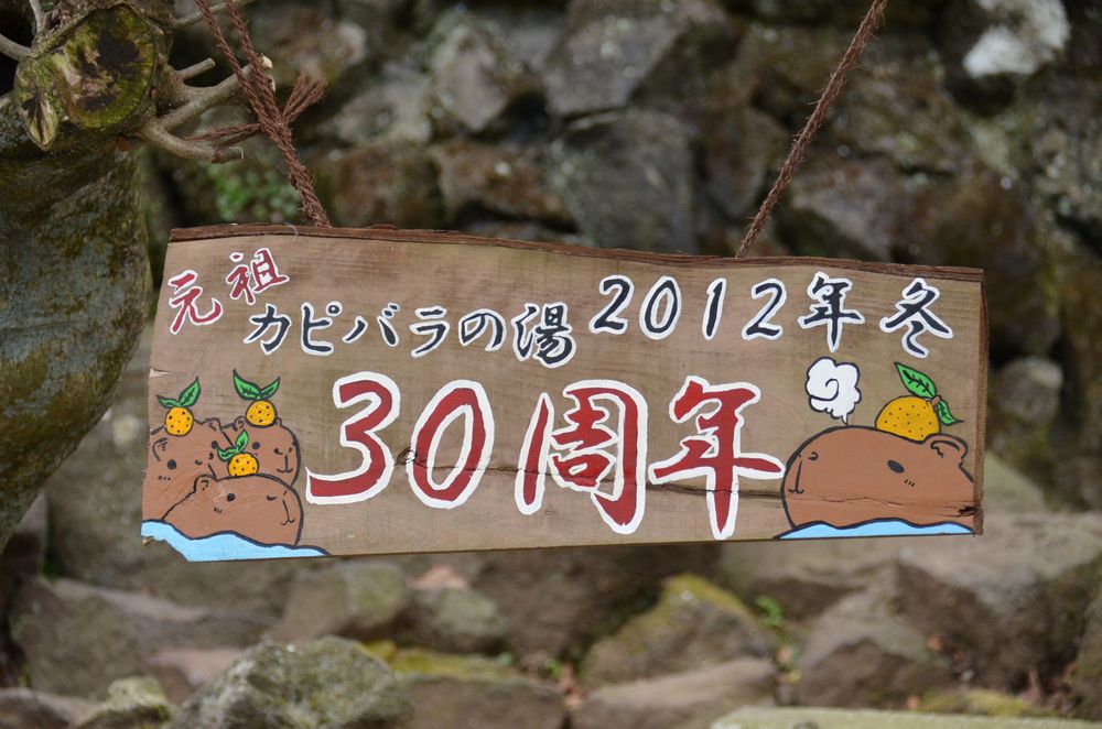 元祖カピバラの湯　祝30周年_b0024758_0393648.jpg