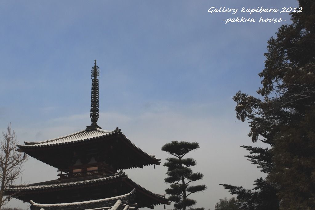 斑鳩の里　三塔雪景色_a0148860_23434782.jpg