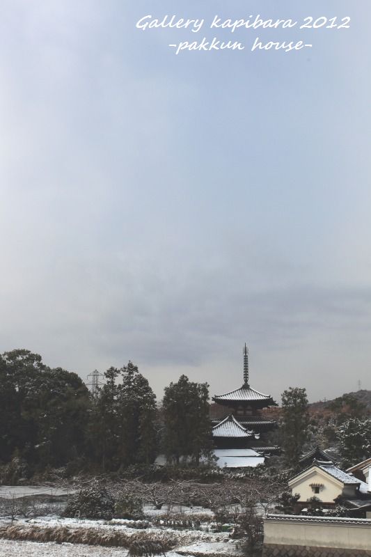 斑鳩の里　三塔雪景色_a0148860_2343713.jpg