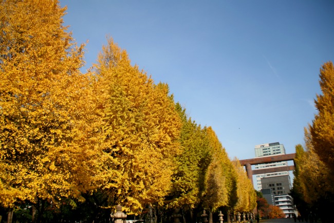e0057760_14872.jpg