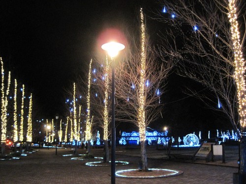 f0236260_271711.jpg