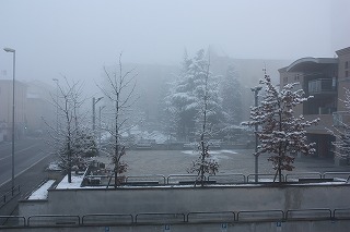 初雪_c0154064_6294772.jpg