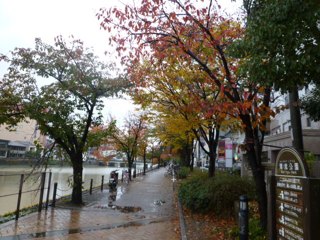 c0100865_11212763.jpg