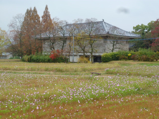 c0100865_1130986.jpg