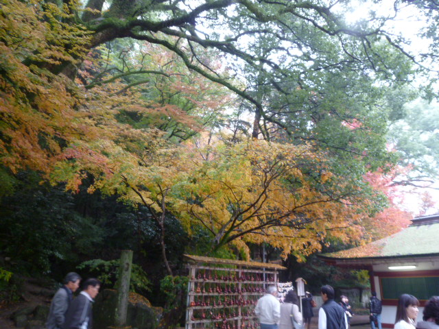 c0100865_15125921.jpg