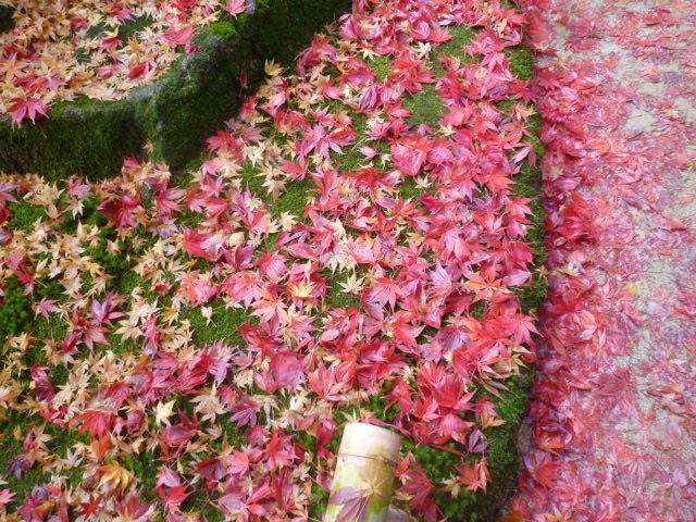 c0100865_15203293.jpg