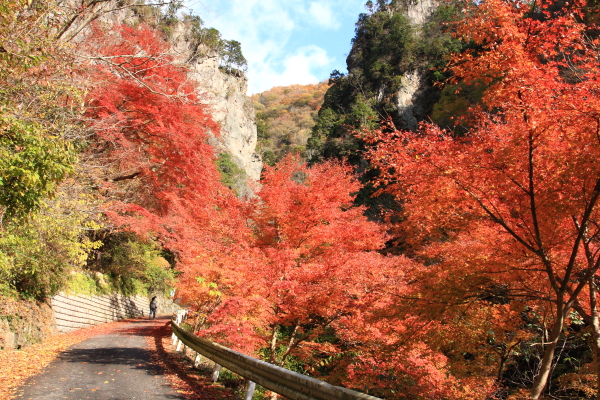 東京都檜原村　紅葉の神戸岩(1/2)_a0106679_16101947.jpg