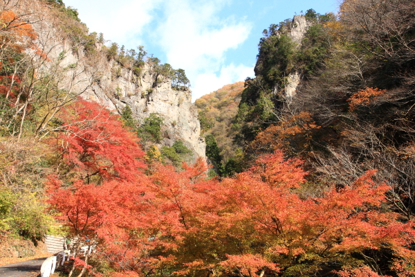 東京都檜原村　紅葉の神戸岩(1/2)_a0106679_169264.jpg