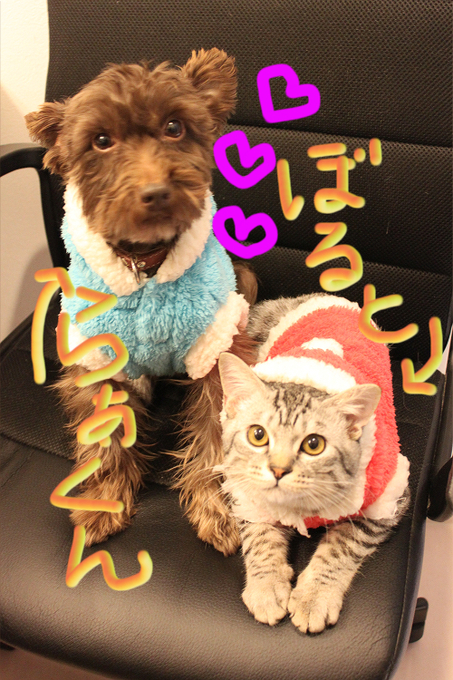 ☆アドベント☆_c0245679_1848526.jpg