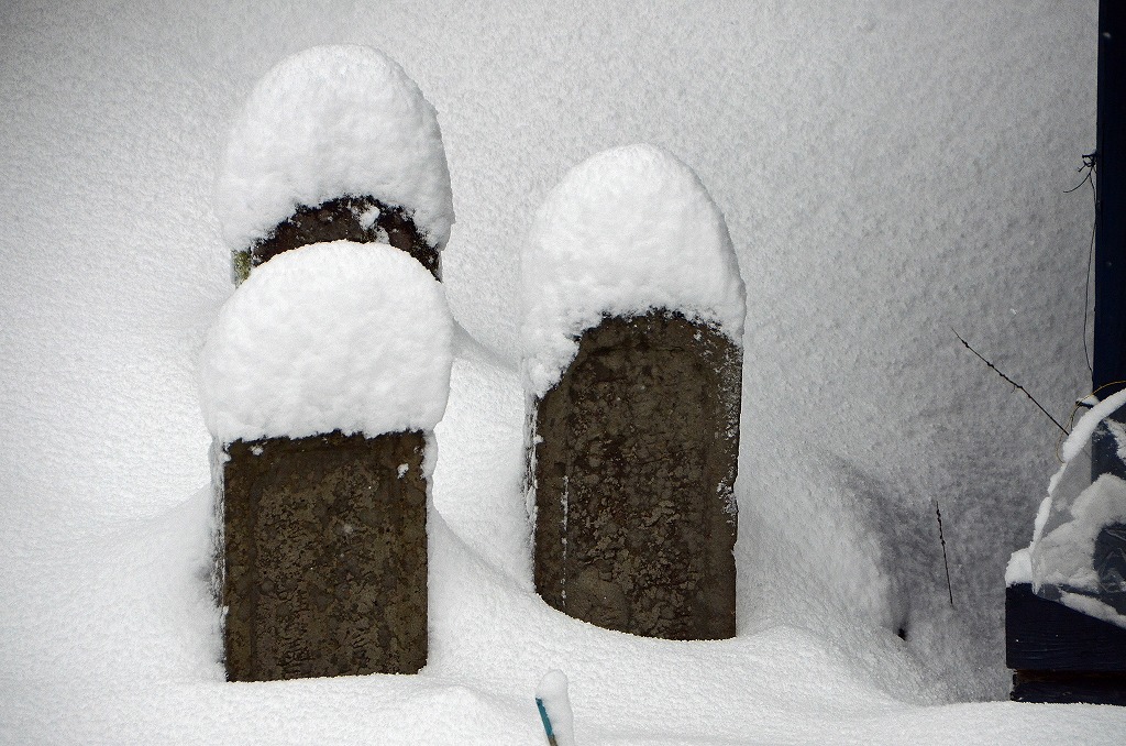 雪、降りましたね～_f0121379_10114971.jpg