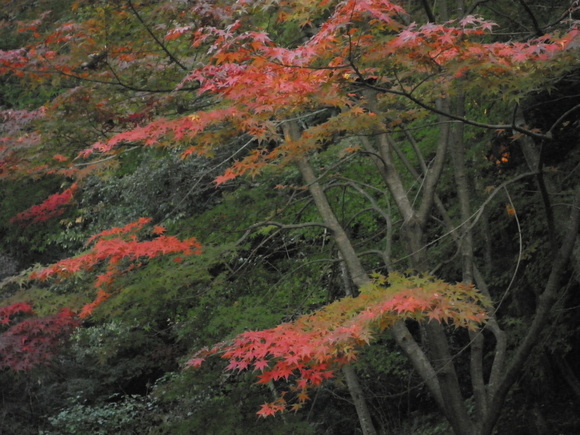 b0208981_2140529.jpg