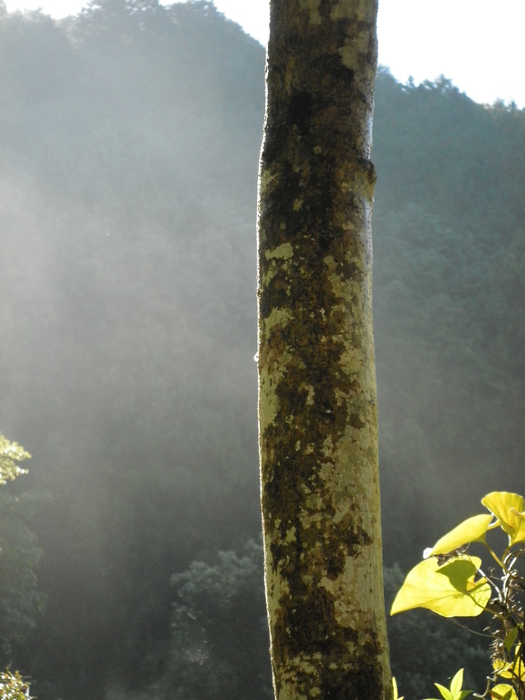 b0208981_22214830.jpg