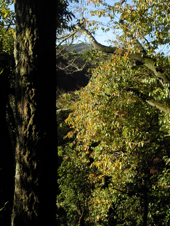 b0208981_22325094.jpg