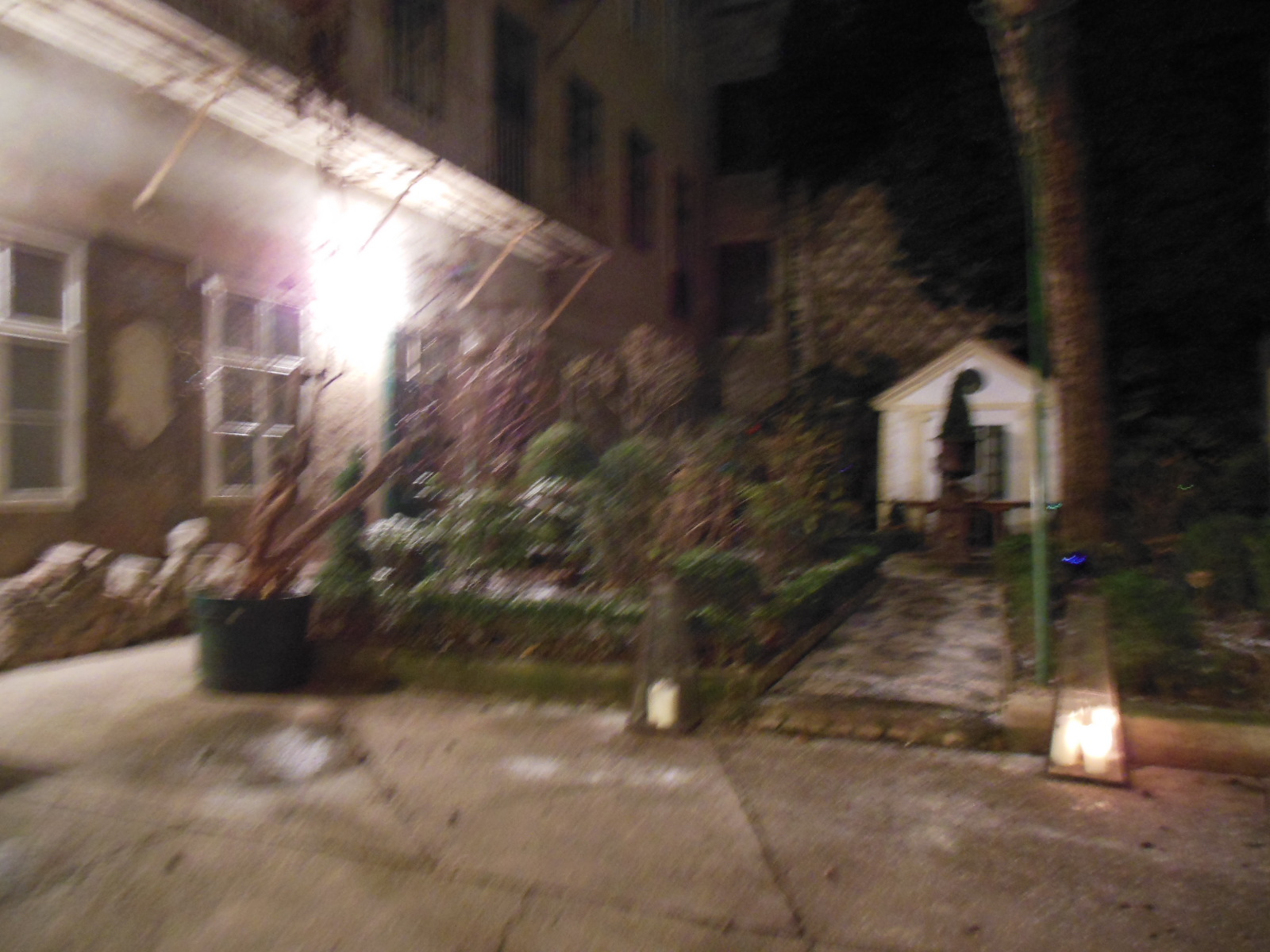 a0080183_64834.jpg