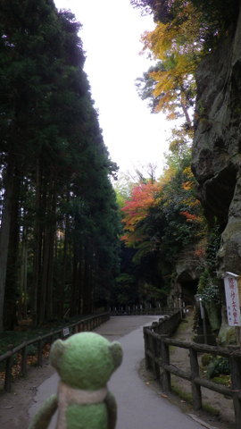 e0116383_13205590.jpg