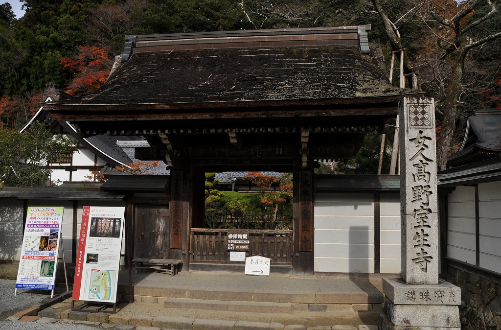 c0240388_826921.jpg