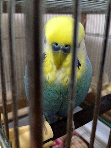 d0131293_21575218.jpg