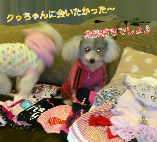 b0237894_21411099.png