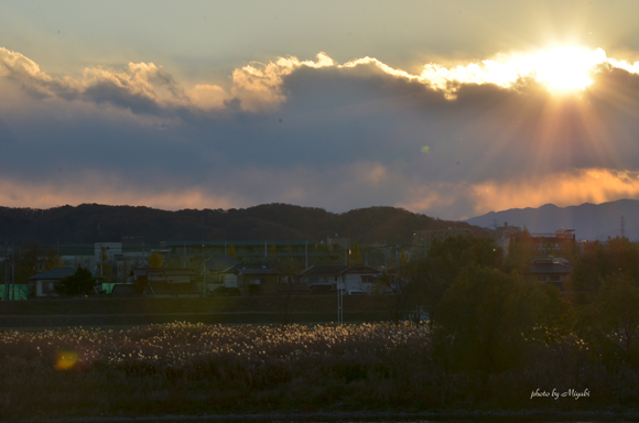 a0161698_2042279.jpg