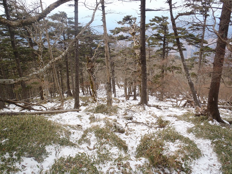 c0147398_1343147.jpg