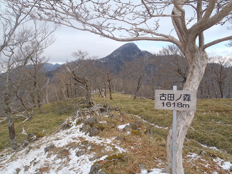 c0147398_1351581.jpg