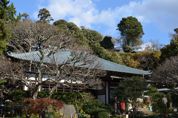 a0288500_837056.jpg