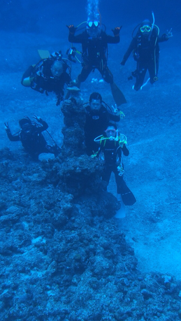 a0201201_1758640.png