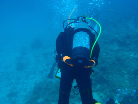 a0201201_18162791.jpg