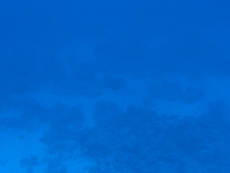 a0201201_18241110.jpg