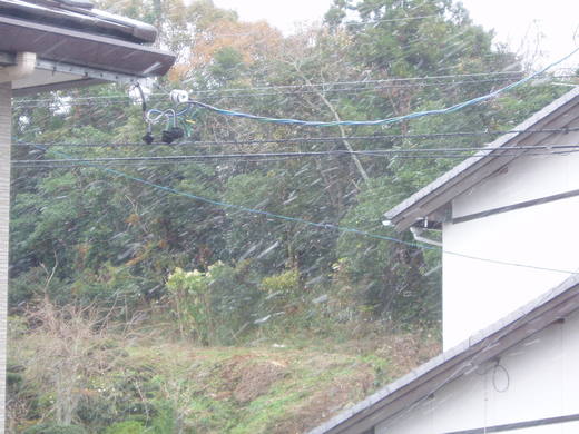 c0183801_11261693.jpg