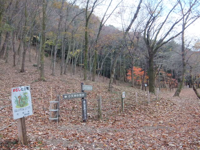 a0271502_14335229.jpg