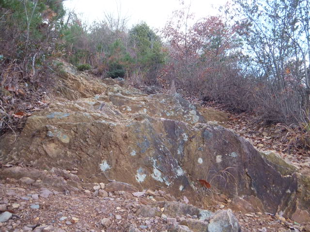 a0271502_14364856.jpg
