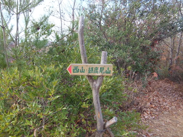 a0271502_144726100.jpg