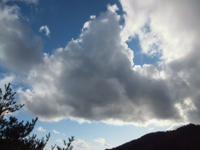 a0271502_15391028.jpg