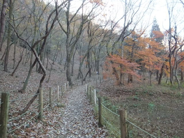 a0271502_15412292.jpg