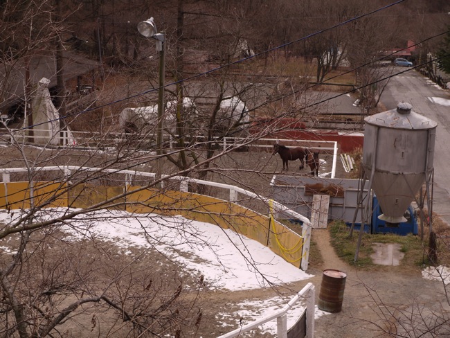 e0163202_19352535.jpg